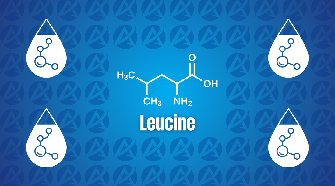 Leucine