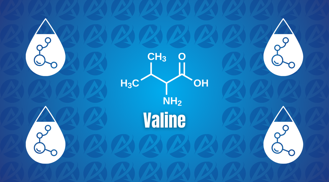 Valine